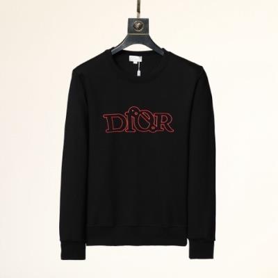 cheap quality Dior Hoodies Model No. 14